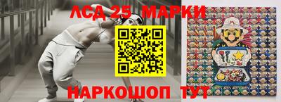 гидропоника Канаш