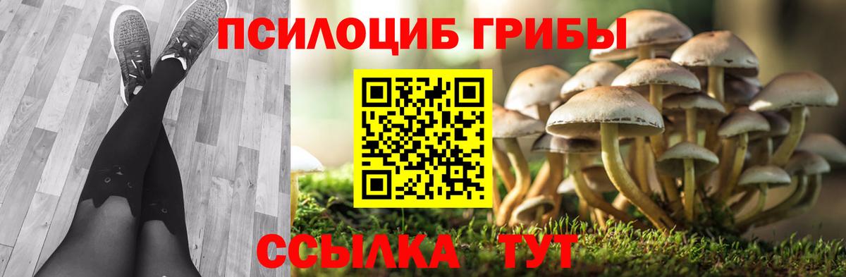 Галлюциногенные грибы GOLDEN TEACHER Калининград