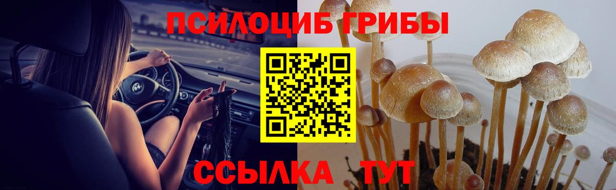 Галлюциногенные грибы MAGIC MUSHROOMS  Вход с VPN  Псилоцибиновые грибы Magic Shrooms  Калининград 